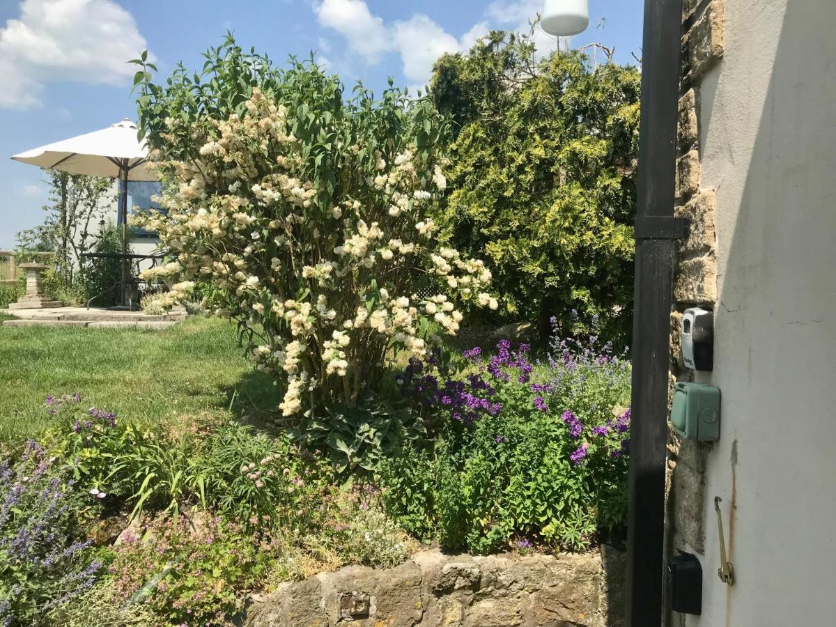 Charming Modernized Country Cottage Near Mere, Wiltshire Mere  Eksteriør billede